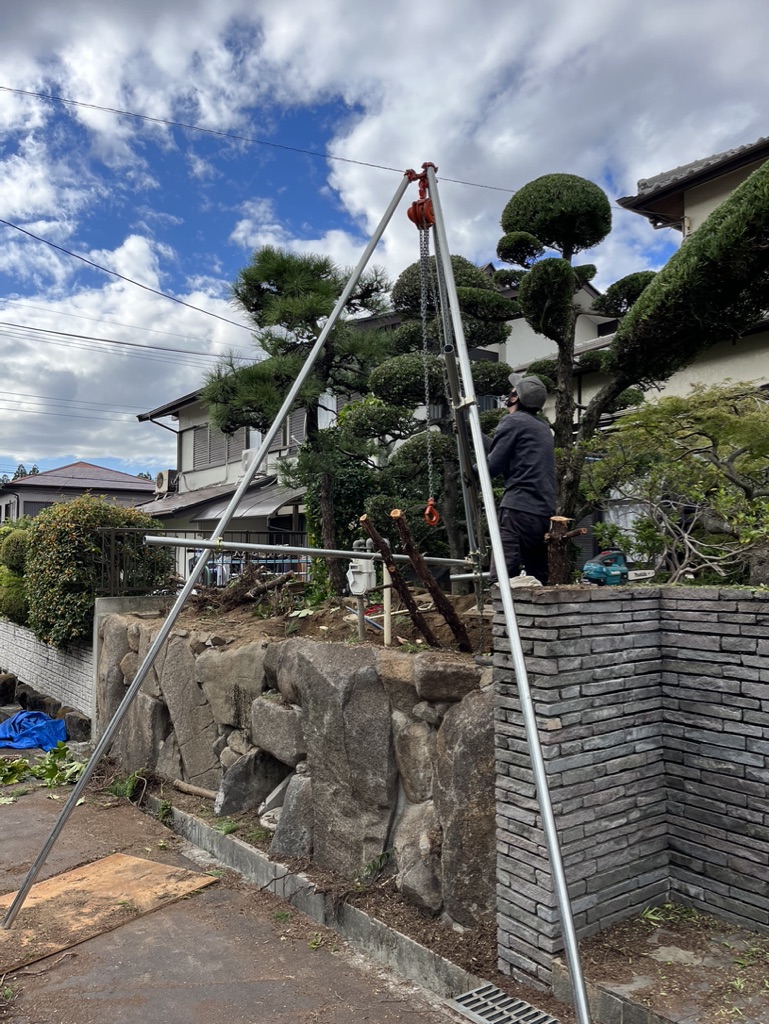 カイヅカイブキの伐根作業